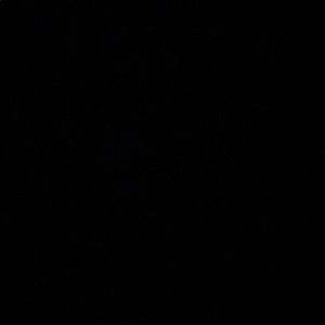 Meet your Posher, Judy